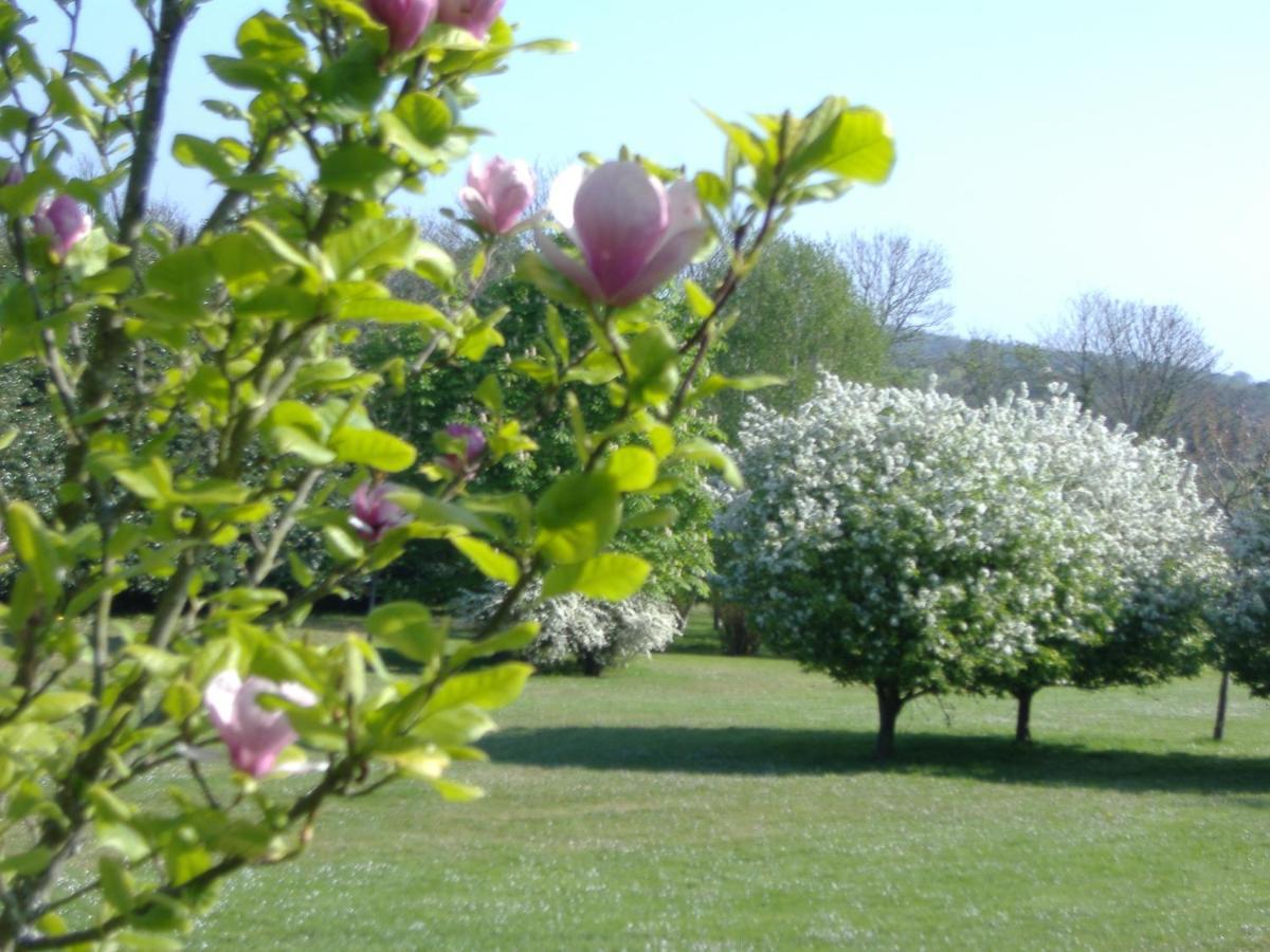 Gites Du Manoir De Goandour Crozon Zewnętrze zdjęcie